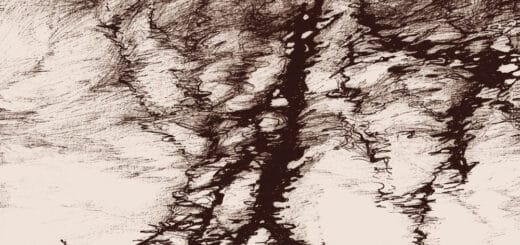 Ylva Ceder Tree Vibrations cover